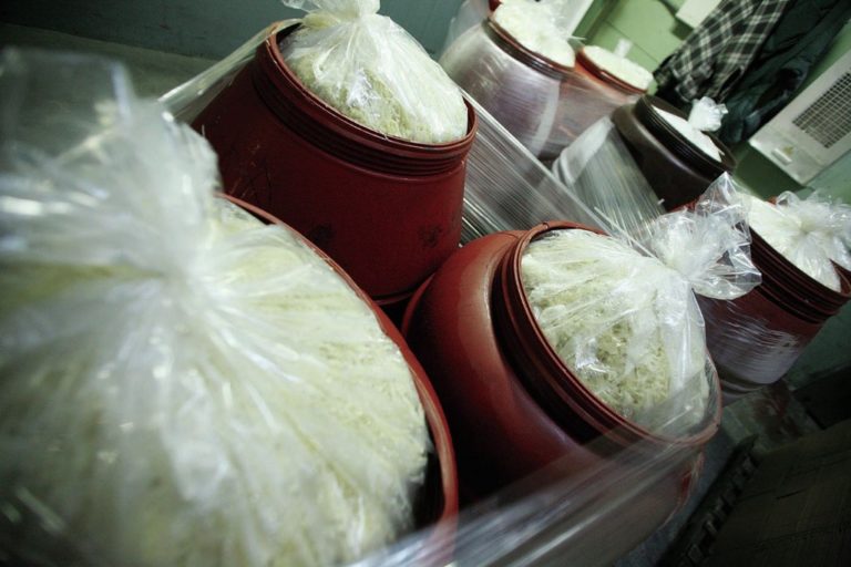 Kissling’s, a Philly sauerkraut dynasty