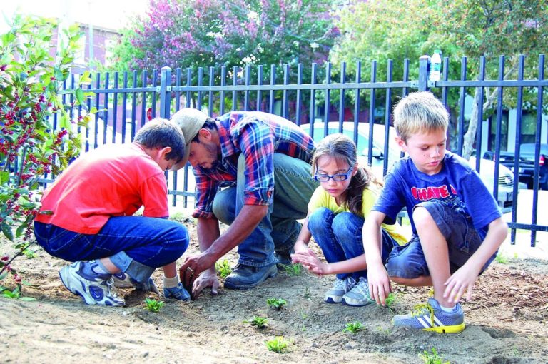 Schoolyard dreams take root at Hackett