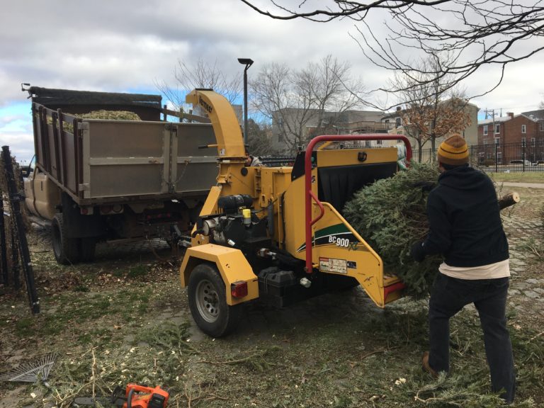 Palmer Doggie Depot volunteers work to raise funds and recycle Christmas trees