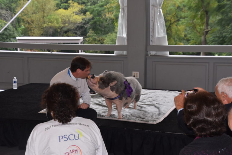 Kissing a pig for a good cause