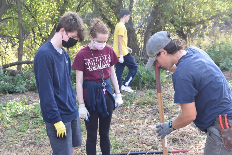 Adding tree canopy at Pennypack on the Delaware