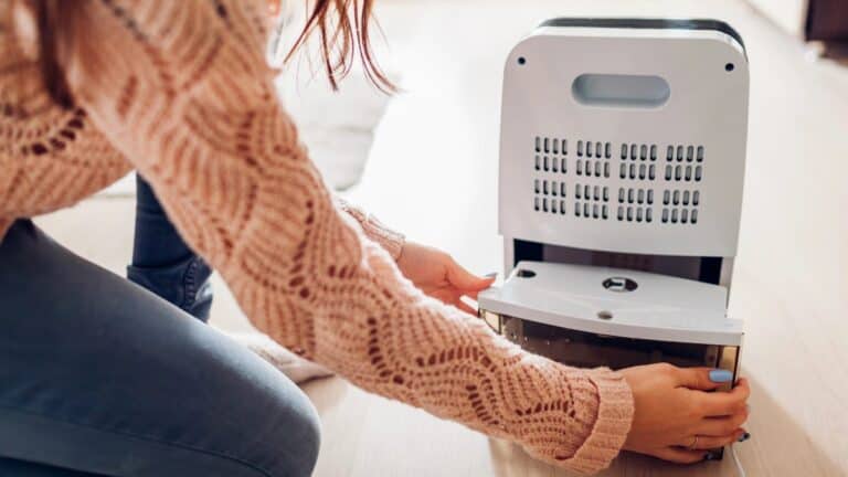 best dehumidifier